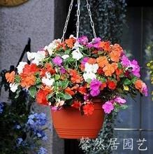 红光满面