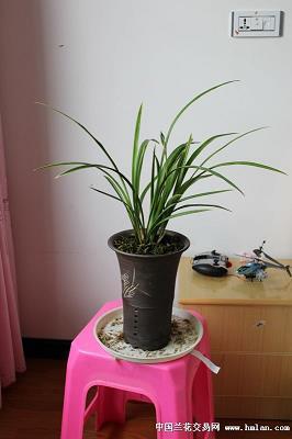 溯流求源