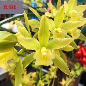 栖栖遑遑