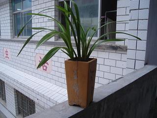不得而知
