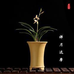 图王霸业