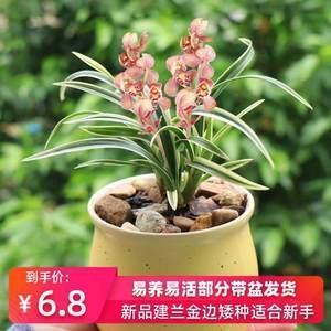 榆枋之见