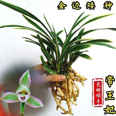 一席之地