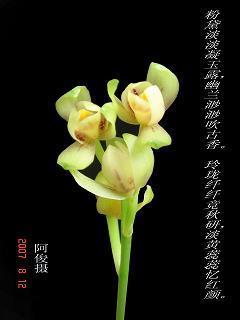 借公行私