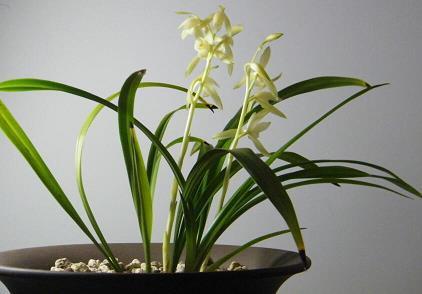 悠悠荡荡