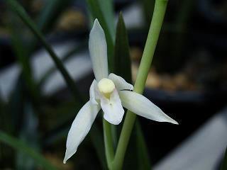 贪赃坏法