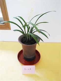 烈士暮年，壮心不已