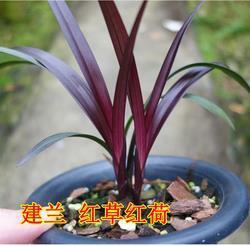 三窝两块