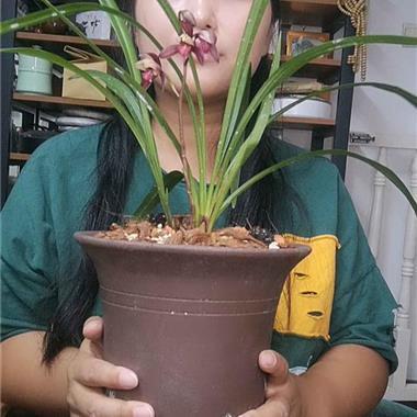 白璧微瑕