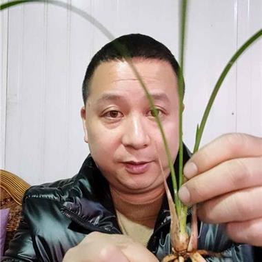 退有后言
