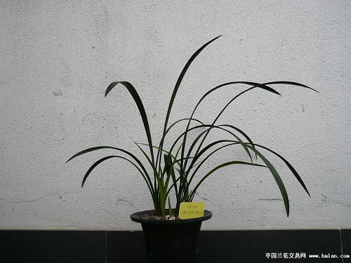 贪天之功