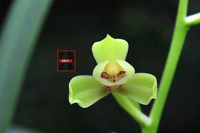 散发抽簪