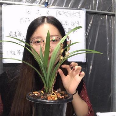 励志美句美段摘抄大全