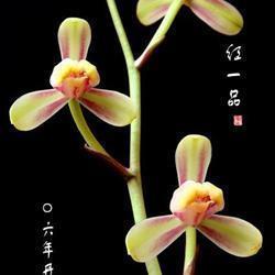 矫邪归正