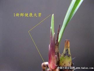春夏秋冬