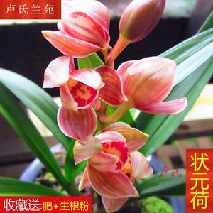 历世磨钝