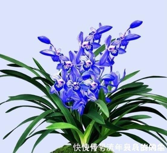 小寒节气短信祝福