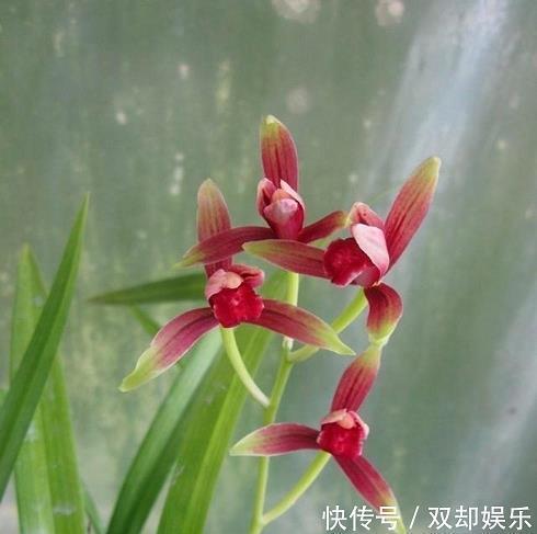 文不加点