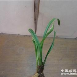 超凡出世
