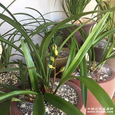 端本正源