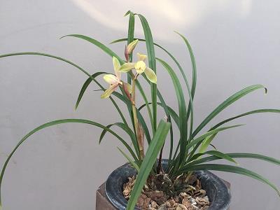 麻木不仁