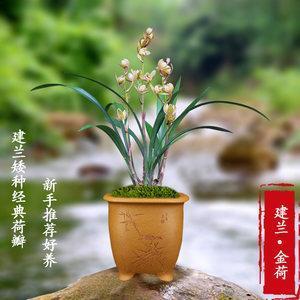 气竭声澌