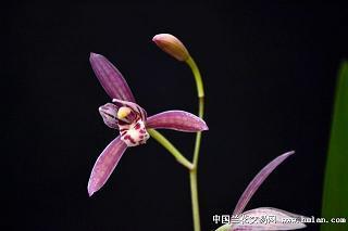 一夫当关，万夫莫敌