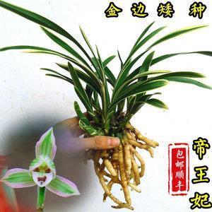 霸气文字说说-霸气文字控说说