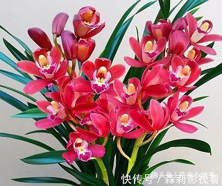 长驱深入