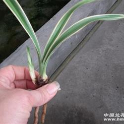 人才难得