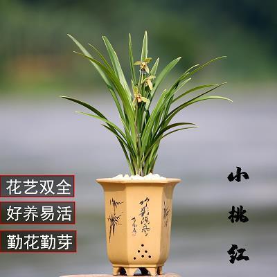 挹彼注兹