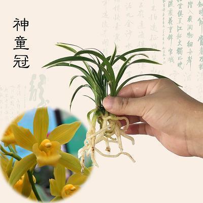 无可非议