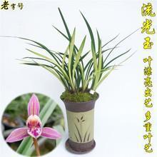 兼程并进