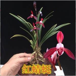 俗不堪耐