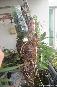 巴前算后