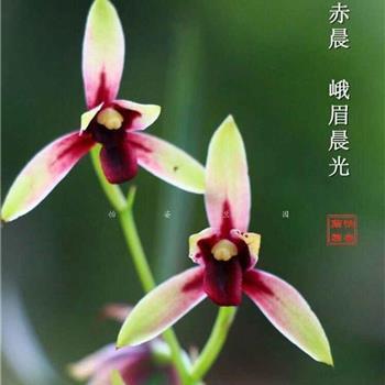 民不安枕