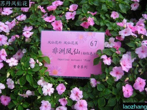 纲举目张