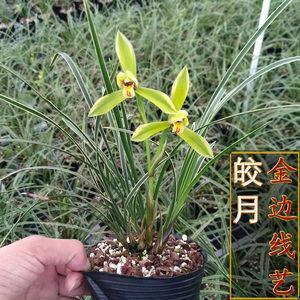 摸门不着