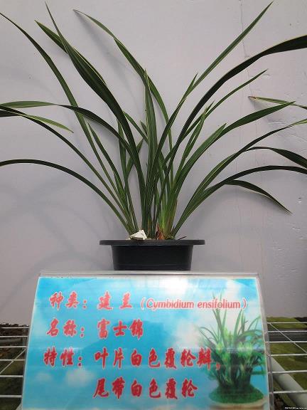 关门大吉