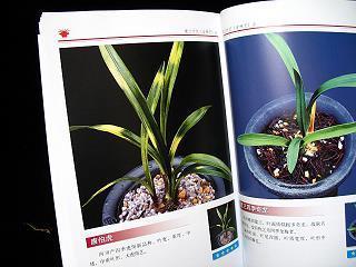 众口嗷嗷