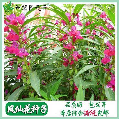 夕阳西下