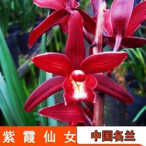 山长水阔