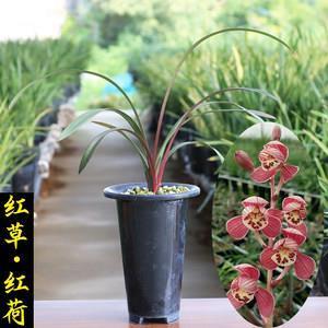 抖音最火的文案_抖音超强吸引人的句子精选39句