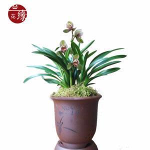 家弦户诵