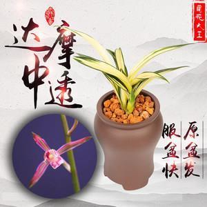 忍气吞声