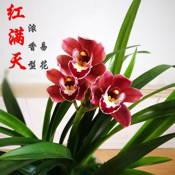 不敢问津