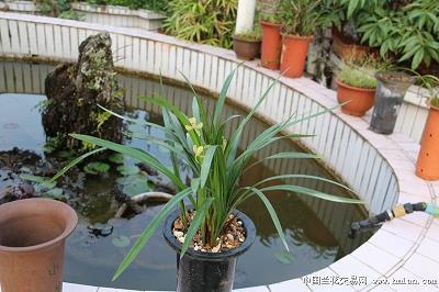 管城子