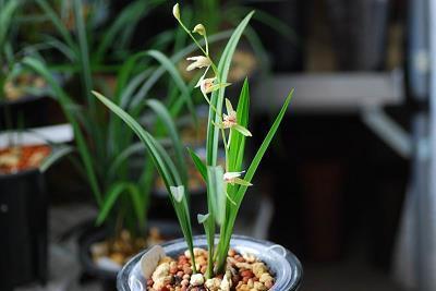 三邻四舍