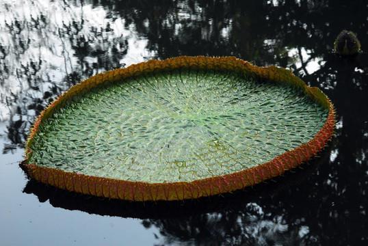 不知不觉
