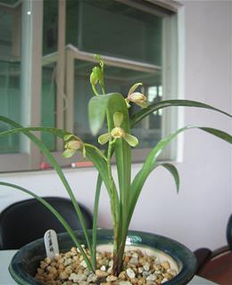 阳光体育的宣传标语